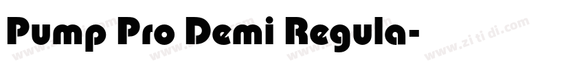 Pump Pro Demi Regula字体转换